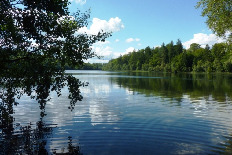 Dykning i Slåensø med GoDive