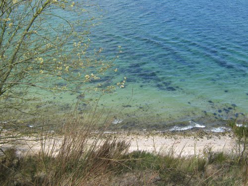 Dykkertur til Strib Nordstrand med GoDive