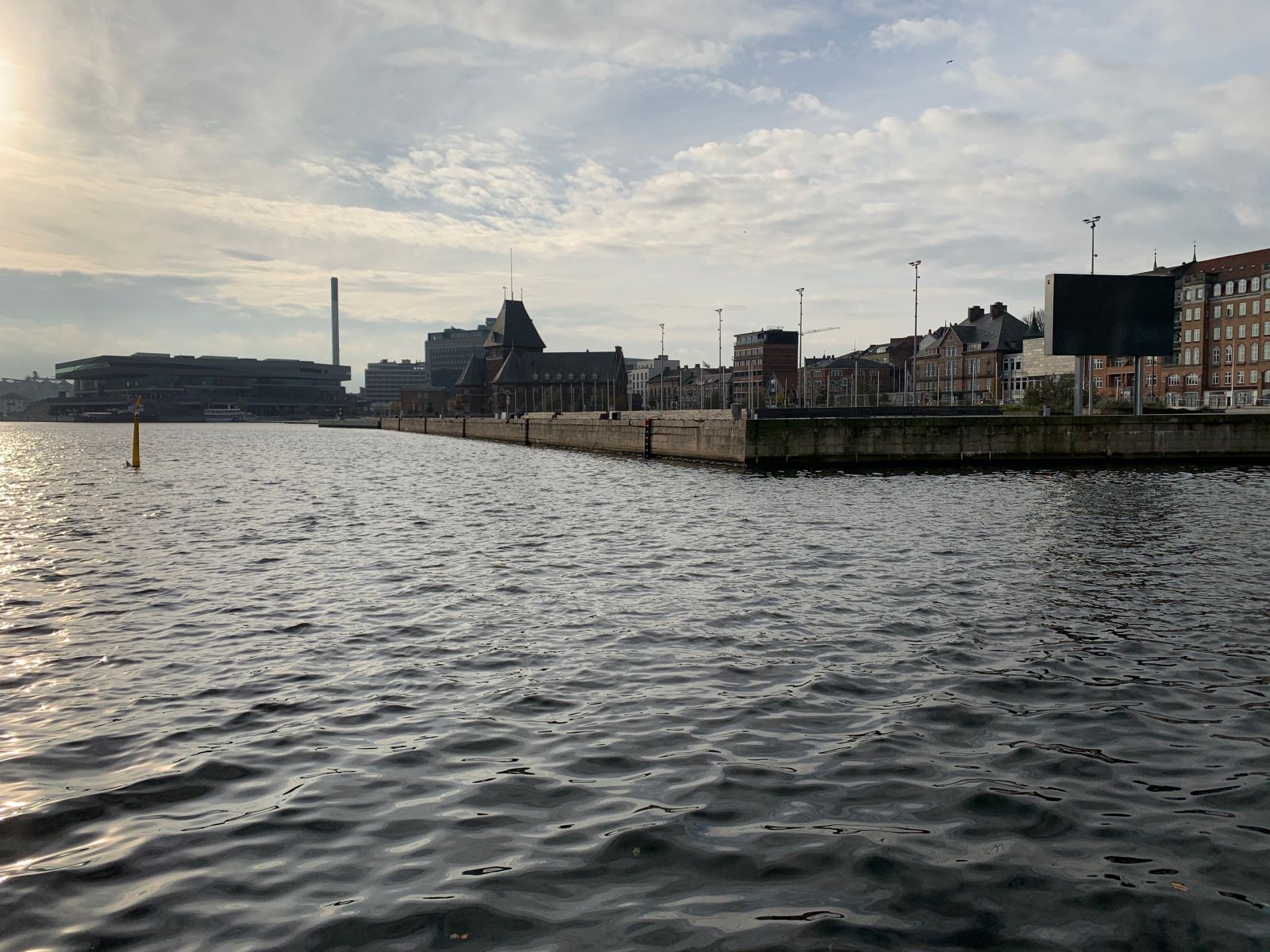 Affaldsindsamling Aarhus
