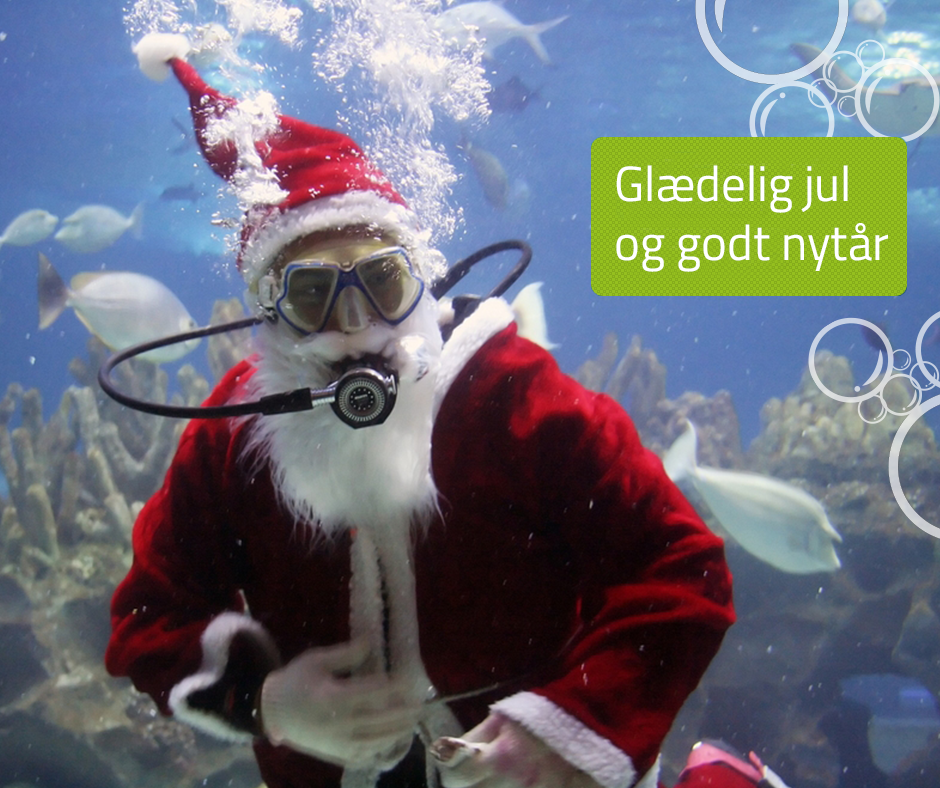 -Årets sidste dyk